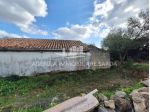 Uliveto in vendita a Alghero