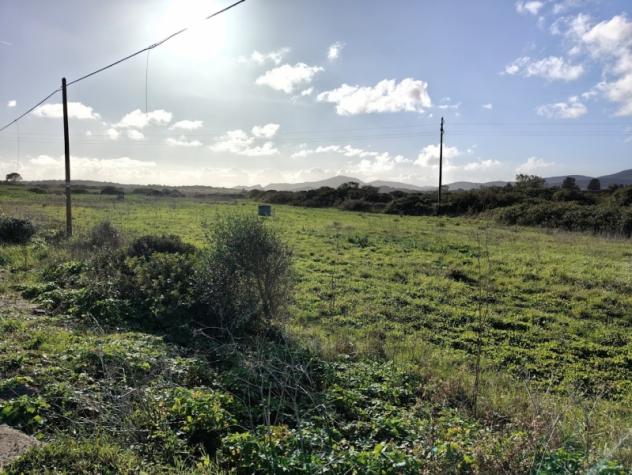 Sassari vendesi terreno agricolo 17043 Mq - Foto 4
