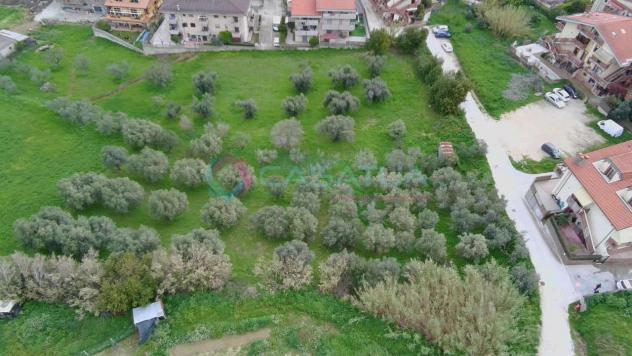 Agricolo in vendita a Silvi - Foto 5
