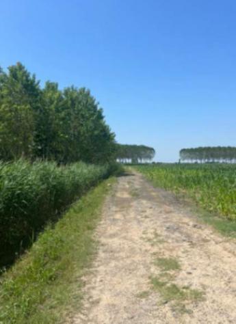 Immobile in asta di 21 m² in vendita a Villimpenta - Foto 11