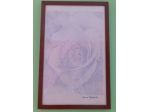 Quadro "Rosa marmorea "