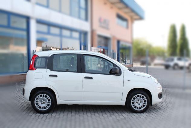 FIAT Panda 3ª serie Panda 1.0 FireFly S&S Hybrid Pandina - Foto 3