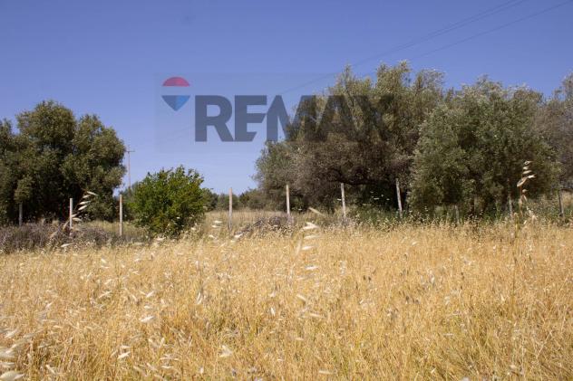 Villa singola in vendita a Noto - Foto 13