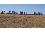 Immobile in asta di 14634 m² in vendita a Brindisi