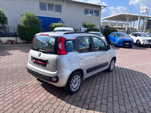 FIAT Panda 1.2 Lounge rif. 23760789 - Foto 3