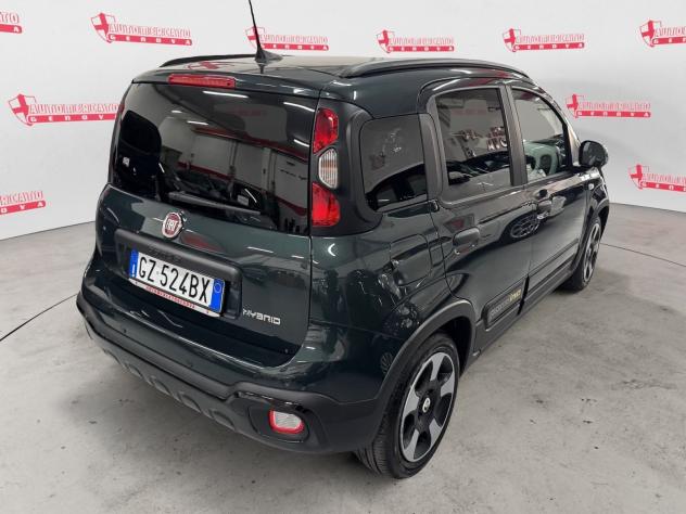 FIAT Panda Panda 1.0 FireFly Hybrid Pandina CROSS VARI COLORI - Foto 4