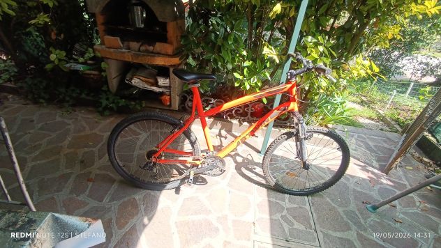 Bici - Foto 2