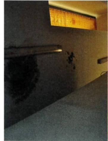 Immobile in asta di 1840 m² in vendita a Due Carrare - Foto 10