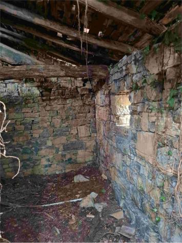 2239/2025 4 BG - Fabbricato rurale con stalla e fienile + terreni agricoli e boschivi