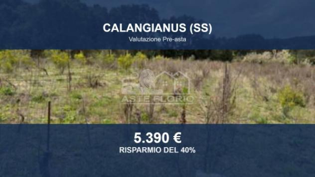Immobile in asta di 1088 m² in vendita a Calangianus