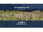 Immobile in asta di 1088 m² in vendita a Calangianus