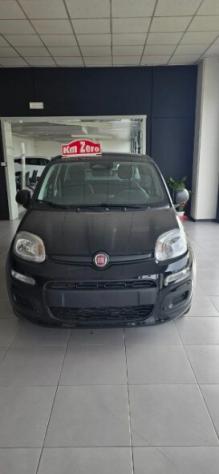 FIAT Panda 3ª serie Panda 1.0 FireFly S&S Hybrid Icon - Foto 8