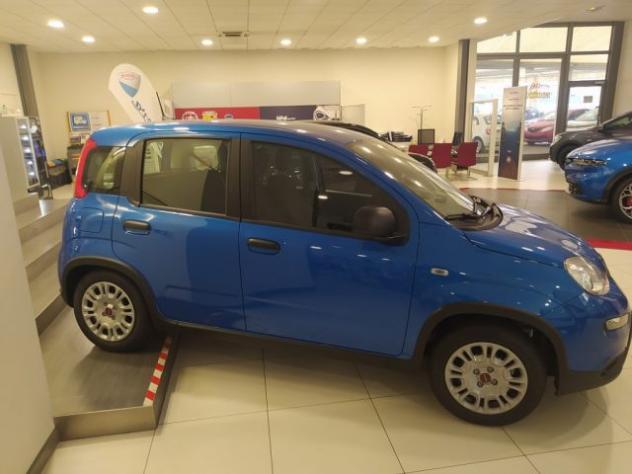 FIAT Panda 1.0 FireFly S&S Hybrid rif. 20346883 - Foto 3