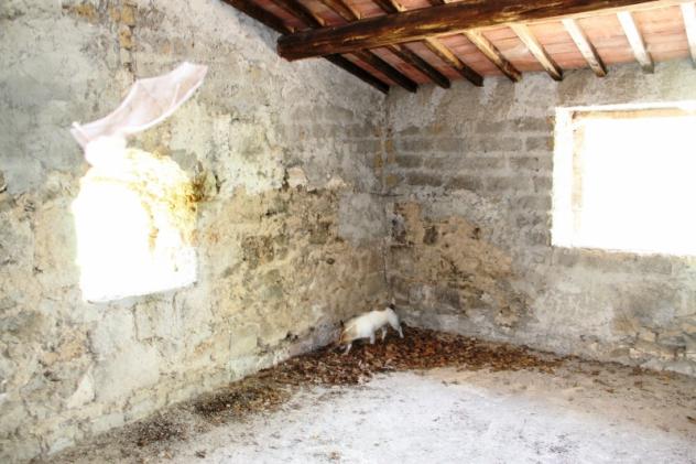 Bagnoregio - Vendesi casale al grezzo con annesso corte - Foto 9