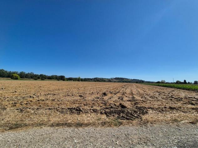 Terreno agricolo in vendita a Fucecchio 1500 mq Rif: 1339884