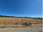 Terreno agricolo in vendita a Fucecchio 1500 mq  Rif: 1339884