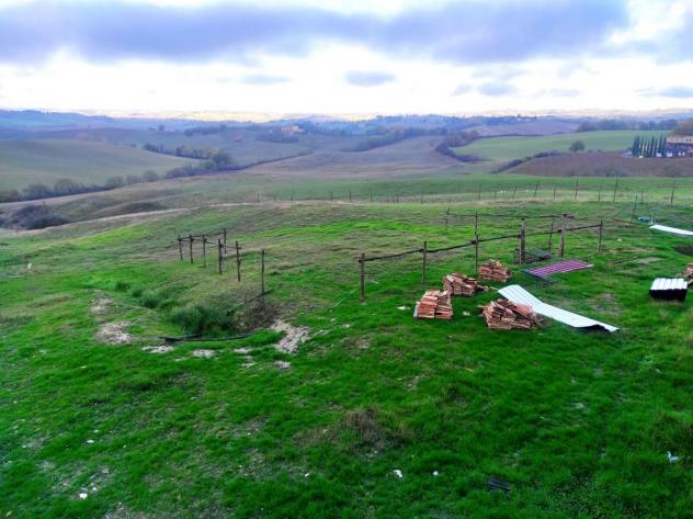 CASALE di 10 vani e di 550 mq (MONTALCINO) rif. AAI014 - Foto 12