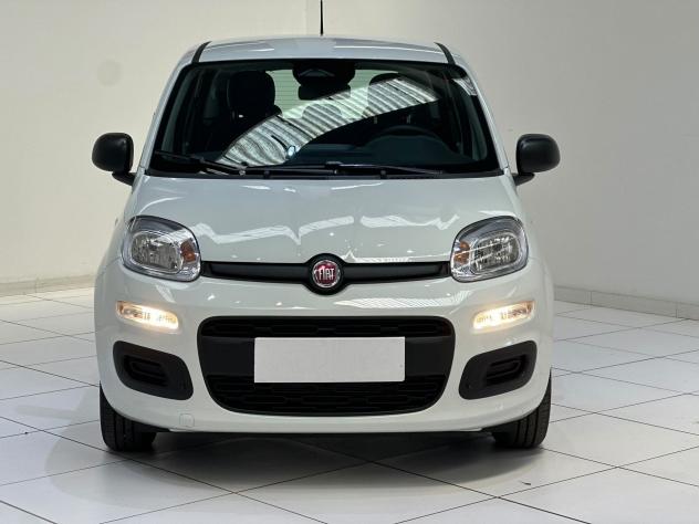 FIAT Pandina 1.0 FireFly 70cv S&S Hybrid Icon - Foto 2