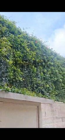 Porzione di villa in vendita a Valverde - Foto 13