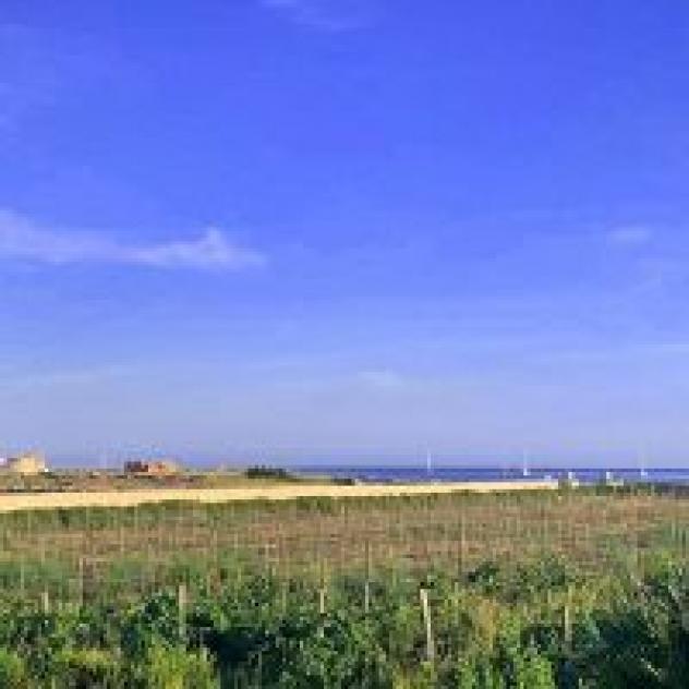 Firriato Hospitality - Calamoni di Favignana Apartments - Foto 2