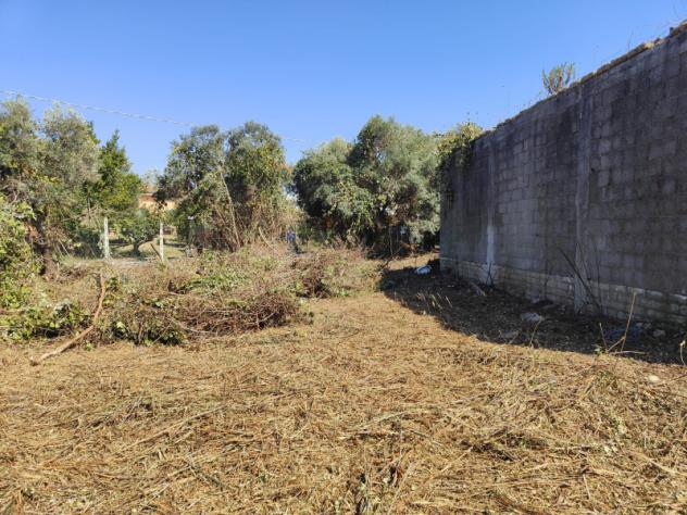 Agricolo in Via dei Melograni - Foto 2