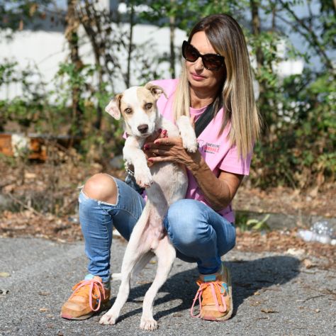 FILLO, 4 MESI (01/06/26), TAGLIA MEDIA, ABBANDONATO A MORIRE SOTTO IL SOLE - Foto 2
