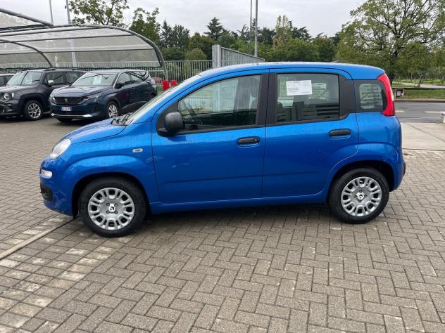 FIAT Panda 1.0 FireFly 70cv S&S Hybrid Pandina Icon - Foto 5