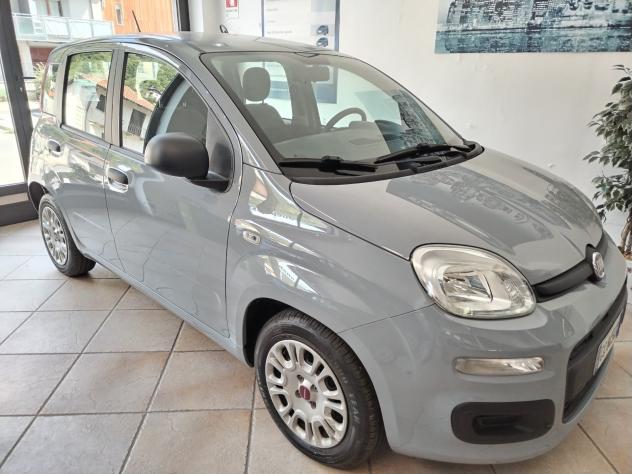 Fiat Panda 1.0 FireFly S&S Hybrid - Foto 3