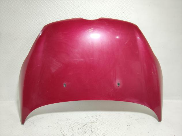 COFANO ANTERIORE FORD Fiesta 6° Serie 1774791 (0817)