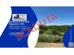 Immobile in asta di 3 m² in vendita a Borgo Mantovano