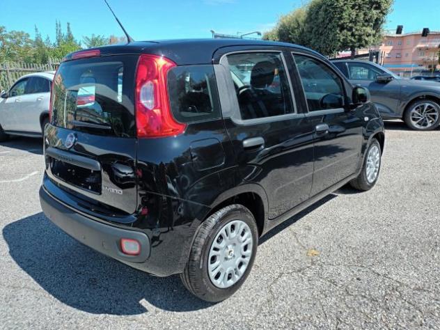 FIAT New Panda 1000 HYBRID 70 CV PDC STEREO USB ITALIA rif. 23993225 - Foto 5