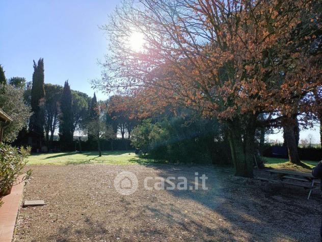 Vendita Rustico casale da 160 mq con giardino con posto auto - Foto 3