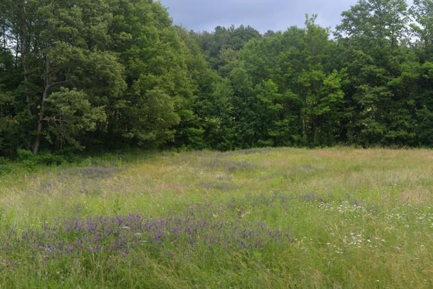 Terreno edificabile in vendita a Sassello - Foto 7