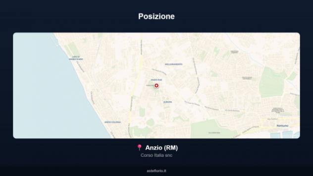 Immobile in asta di 374 m² in vendita a Anzio - Foto 10