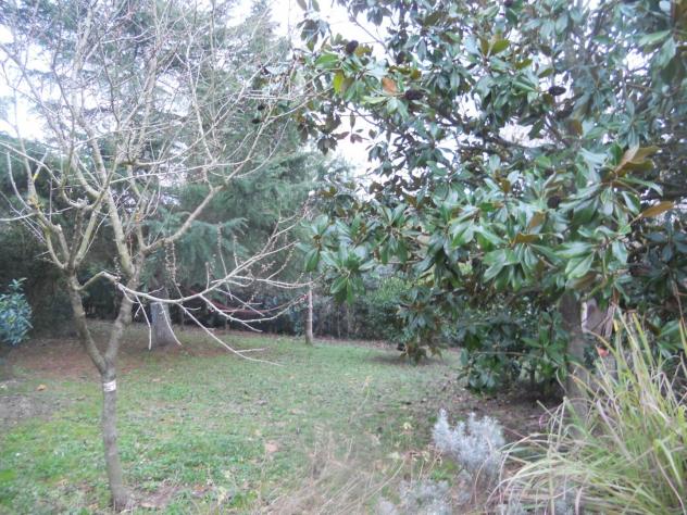 Terreno agricolo in vendita a Livorno 2000 mq Rif: 1023871 - Foto 6