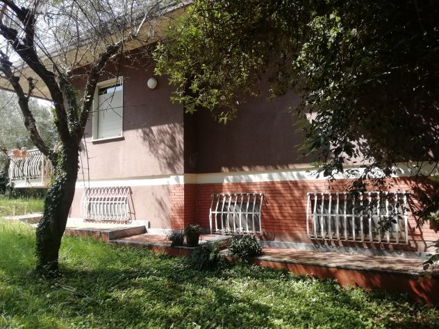 Villa indipendente con uliveto, accesso privato al fiume e vista Alpi Apuane – M