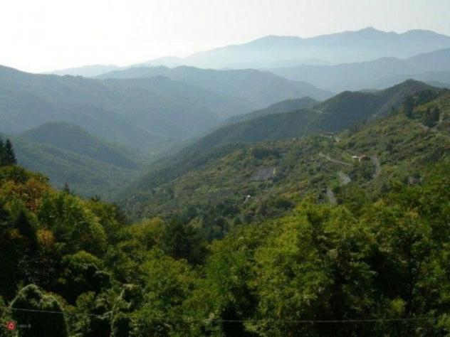 Rustico - Foto 7