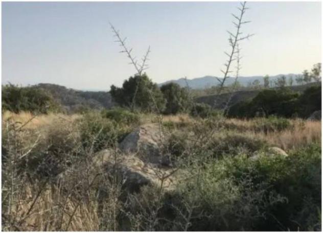 Immobile in asta di 32550 m² in vendita a Ferruzzano - Foto 7