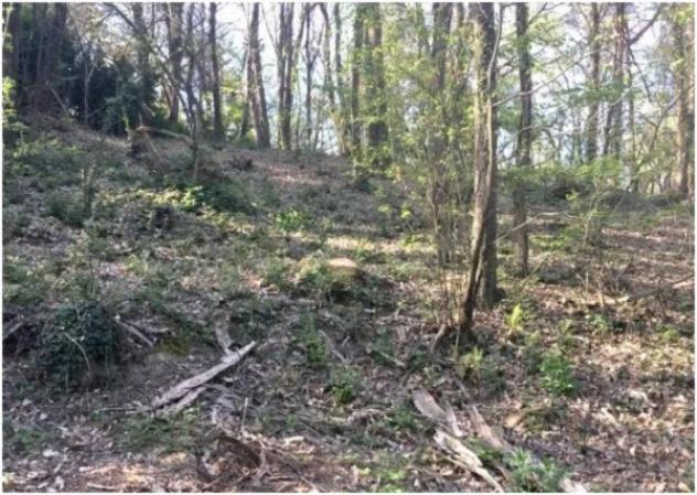 Immobile in asta di 4000 m² in vendita a Lipomo - Foto 2