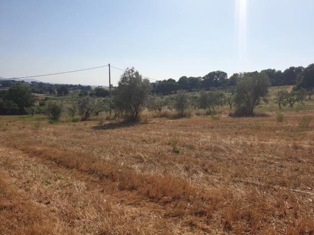 Rustico in vendita a Lugnano in Teverina - Foto 5