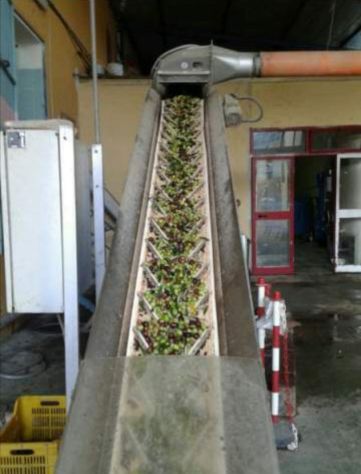 Olio extra vergine di oliva - Foto 4