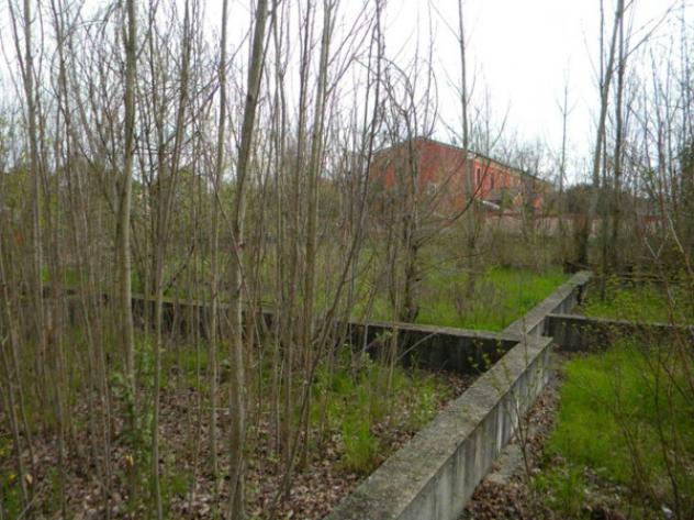 Immobile in asta di 1274 m² in vendita a Rodigo - Foto 10
