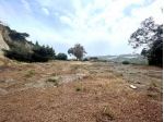 Agricolo in vendita a Sanremo