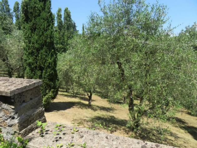 Immobile in asta di 50 m² con più di 5 locali e box auto in vendita a Castiglione in Teverina - Foto 2