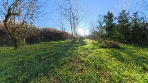 Immobile in asta di 52000 m² in vendita a Grottazzolina - Foto 3