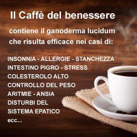 Ganoderma Lucidum / Reishi - Foto 4