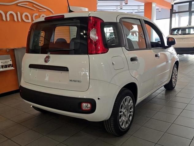 Fiat Panda Pandina 1.0 70CV Hybrid Icon - Nuova KM ZERO - Foto 2