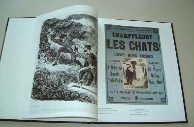 Grafica e illustrazione - Foto 4