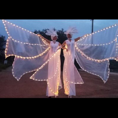 TRAMPOLIERI FARFALLE LUMINOSE