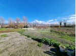 Lotto di terreno con progetto approvato